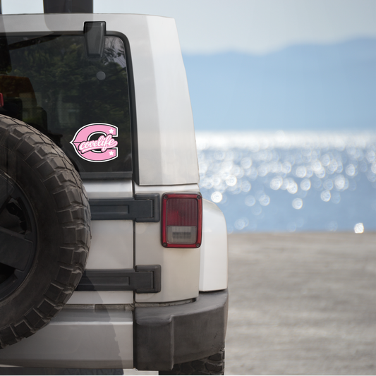 COVELiFE Block C Die-Cut Decal Pink - applied