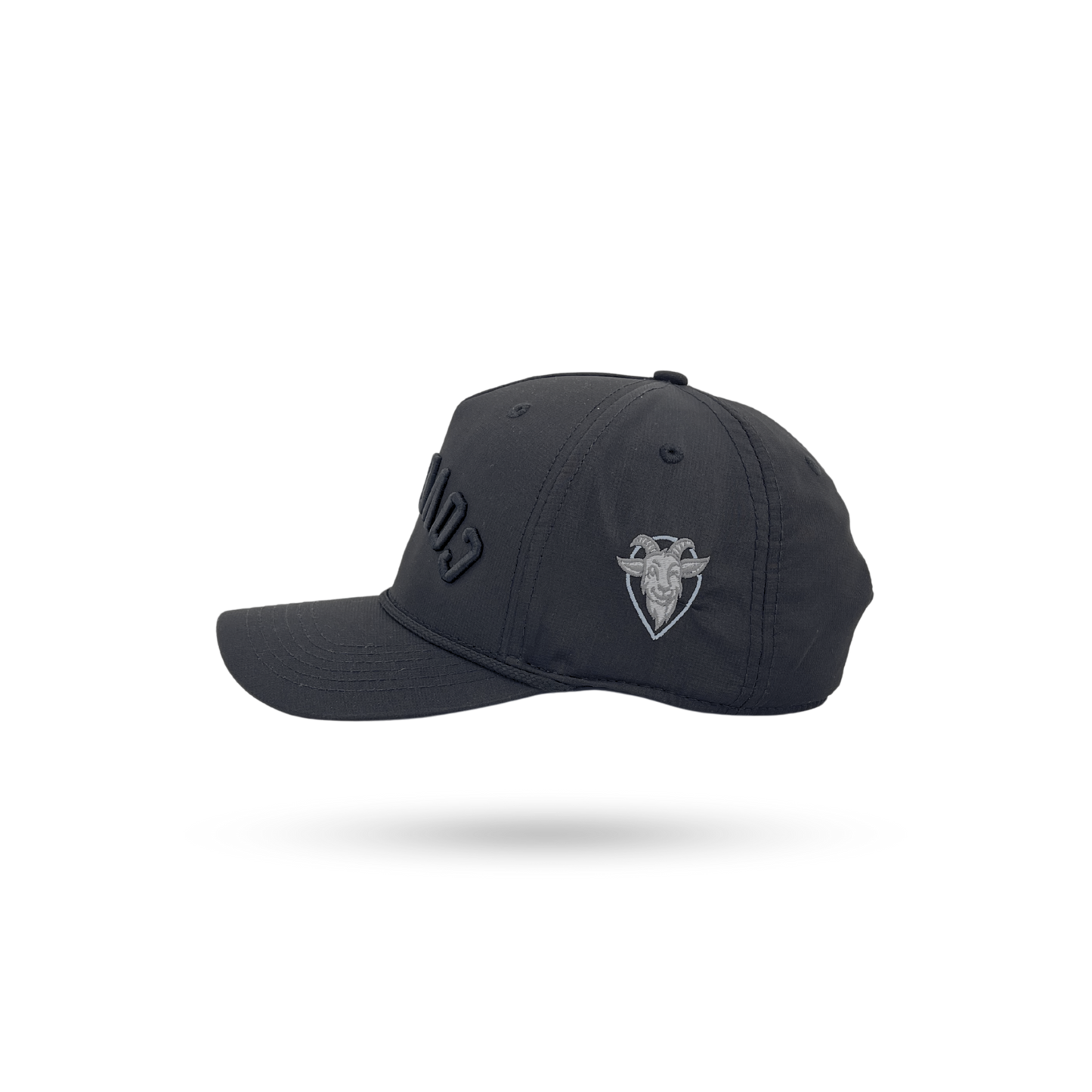 Black baseball cap shown from a three-quarters angle on a white background with a soft shadow underneath. The cap features a tonal black embroidered logo on the front and a light gray embroidered shield logo on the side.