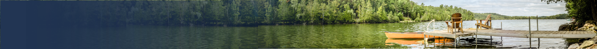 A scenic view of a calm lake with a wooden dock extending into the water, bordered by dense green trees under a bright sky.